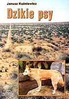 DZIKIE PSY